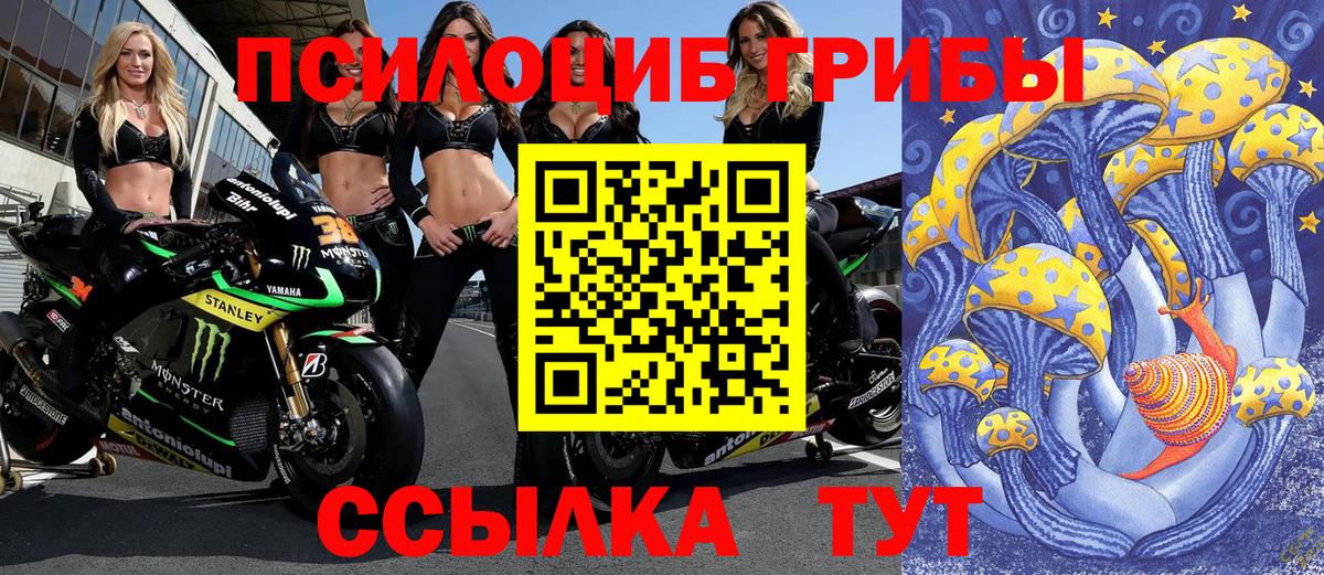 Псилоцибиновые грибы Psilocybine cubensis  Вход с VPN  Красноярск 
