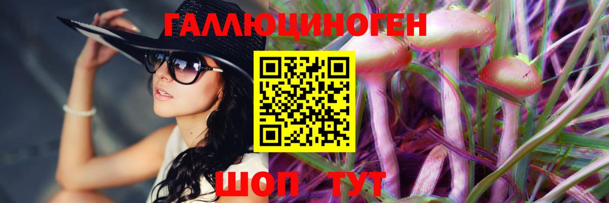 Галлюциногенные грибы Psilocybe Красноярск